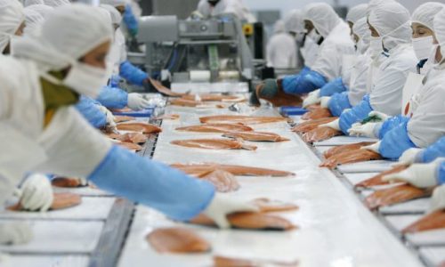 export-salmones-780x405